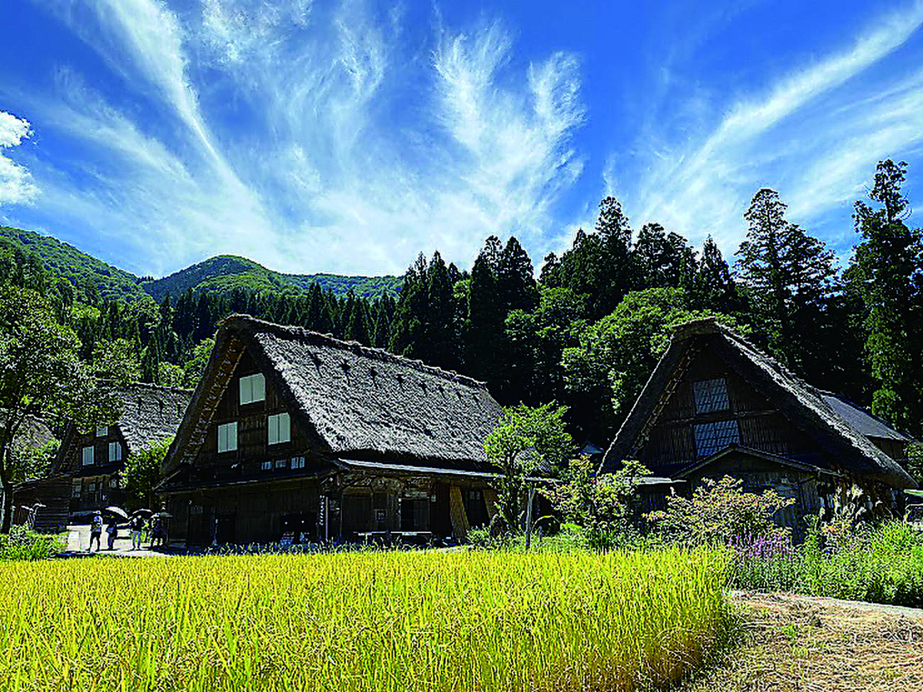 白川郷（岐阜県） | 朝日ウイークリーデジタル(Asahi Weekly DIGITAL