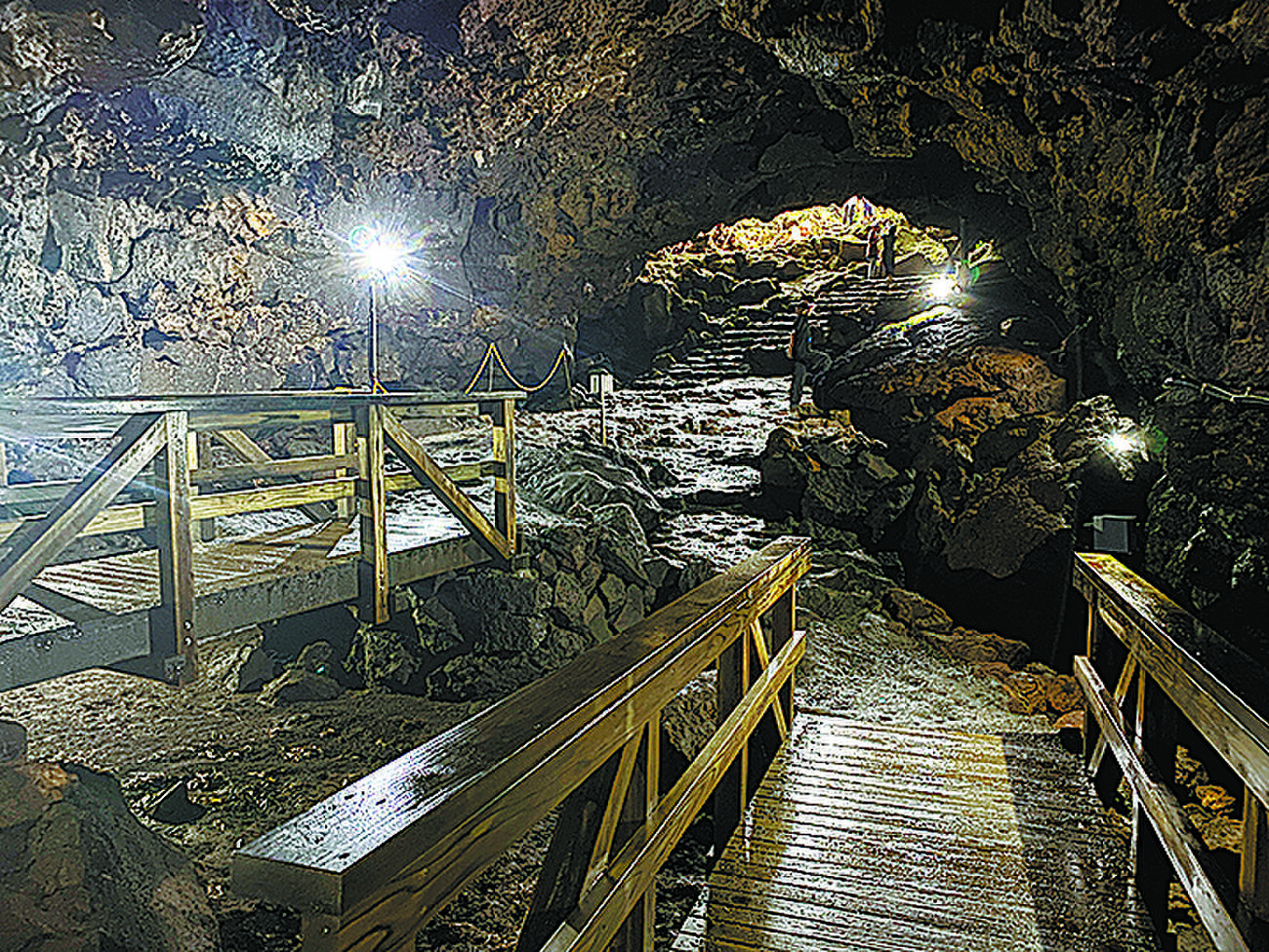句集 夢殿 春 川崎展宏全句集』（はる かわさきてんこうぜんくしゅう