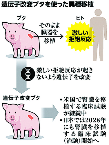 記事サムネイル