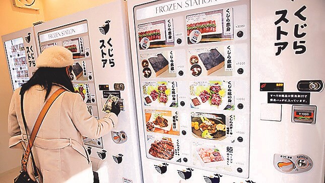 鯨肉の自販機 捕鯨会社が無人店舗をオープン | 朝日ウイークリー