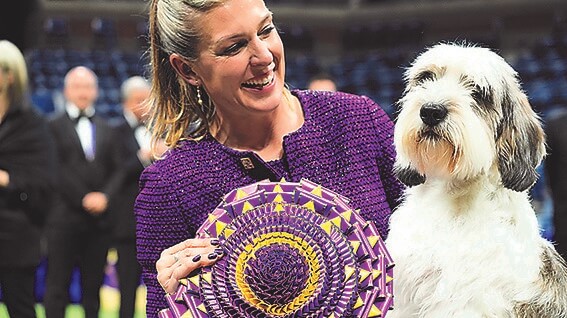 ドッグショー最高賞に「プチ・バセット・グリフォン・バンデーン」 米
