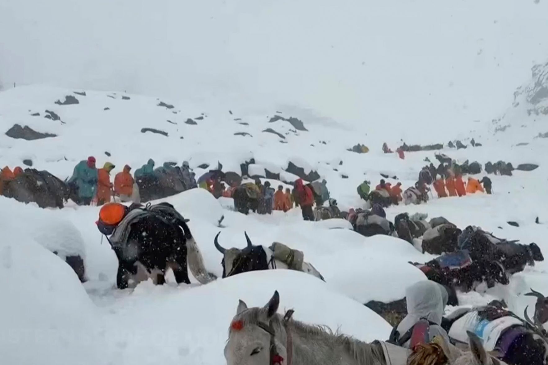 ヒマラヤで季節外れの大雪　登山者ら保護
