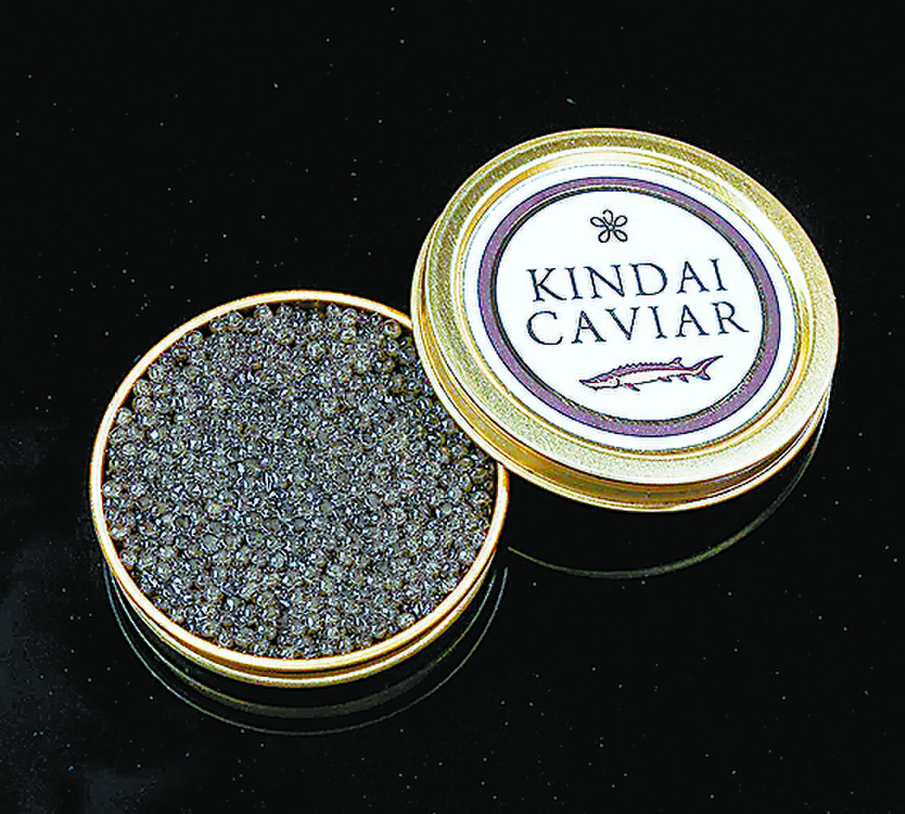 Japan team gets male sturgeon to switch sex, produce roe for caviar