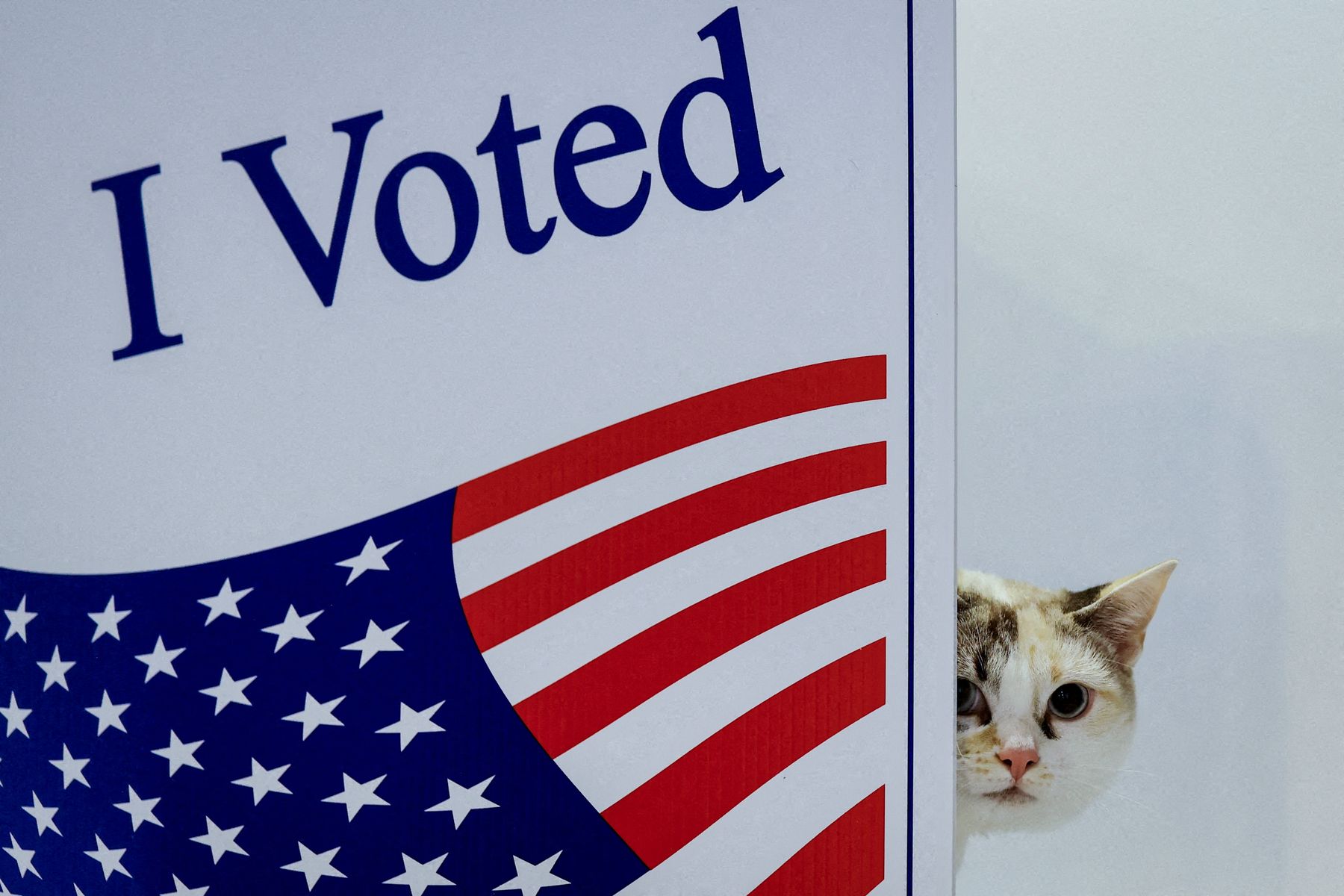 Poll: Americans, especially young, reject Democratic and Republican parties