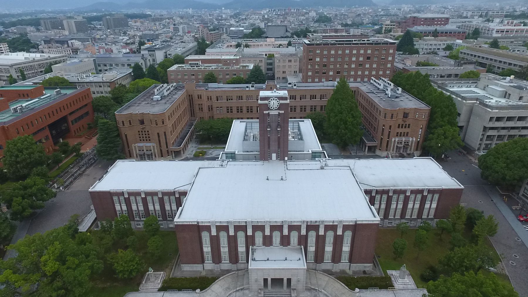 Kyoto University team finds drug that kills aging-related cells in mice