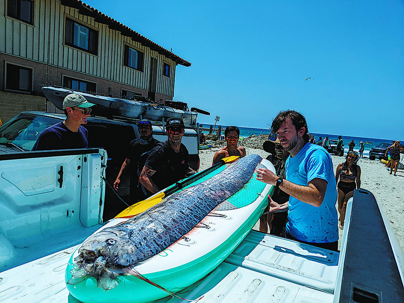 珍しい深海魚、カリフォルニア沖で見つかる | 朝日ウイークリー