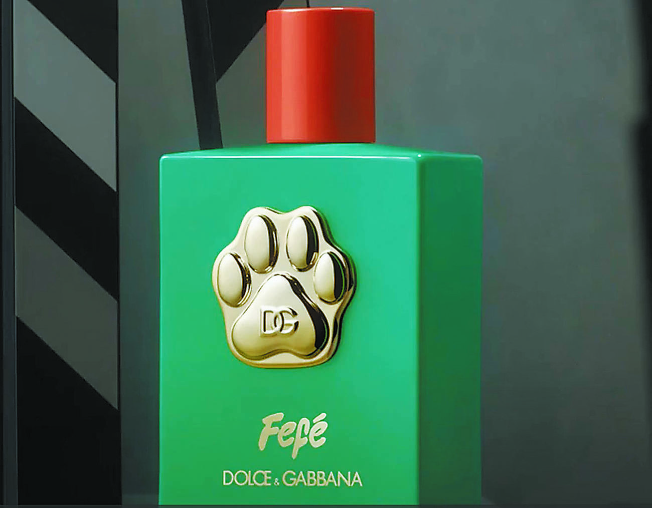 未使用級✨ ドルチェアンドガッバーナ ポルトフィーノ ロゴワッペン 29cm相当 ドルチェ＆ガッバーナ、犬用の香水を発売 | 朝日ウイークリーデジタル