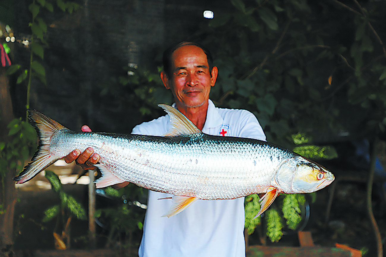 絶滅したはずの巨大魚 3度目撃される | 朝日ウイークリーデジタル