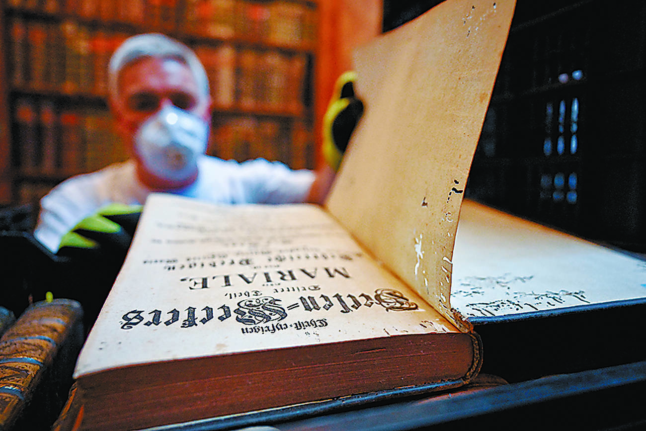 Hungary’s oldest library fighting beetles