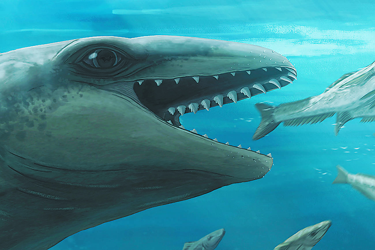 Prehistoric whale looked like a Pokemon