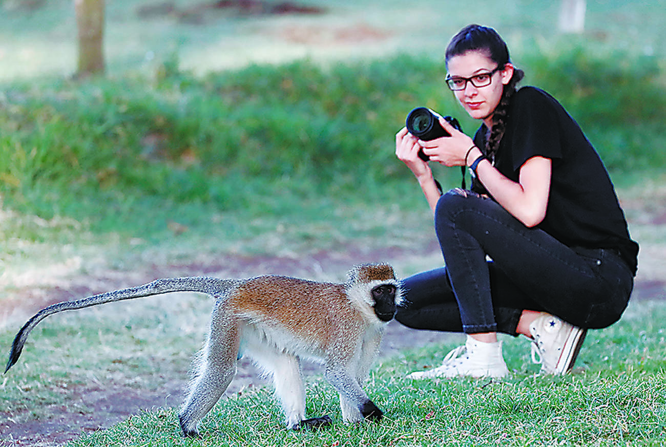 AI blurs tracking of monkeys loose in city