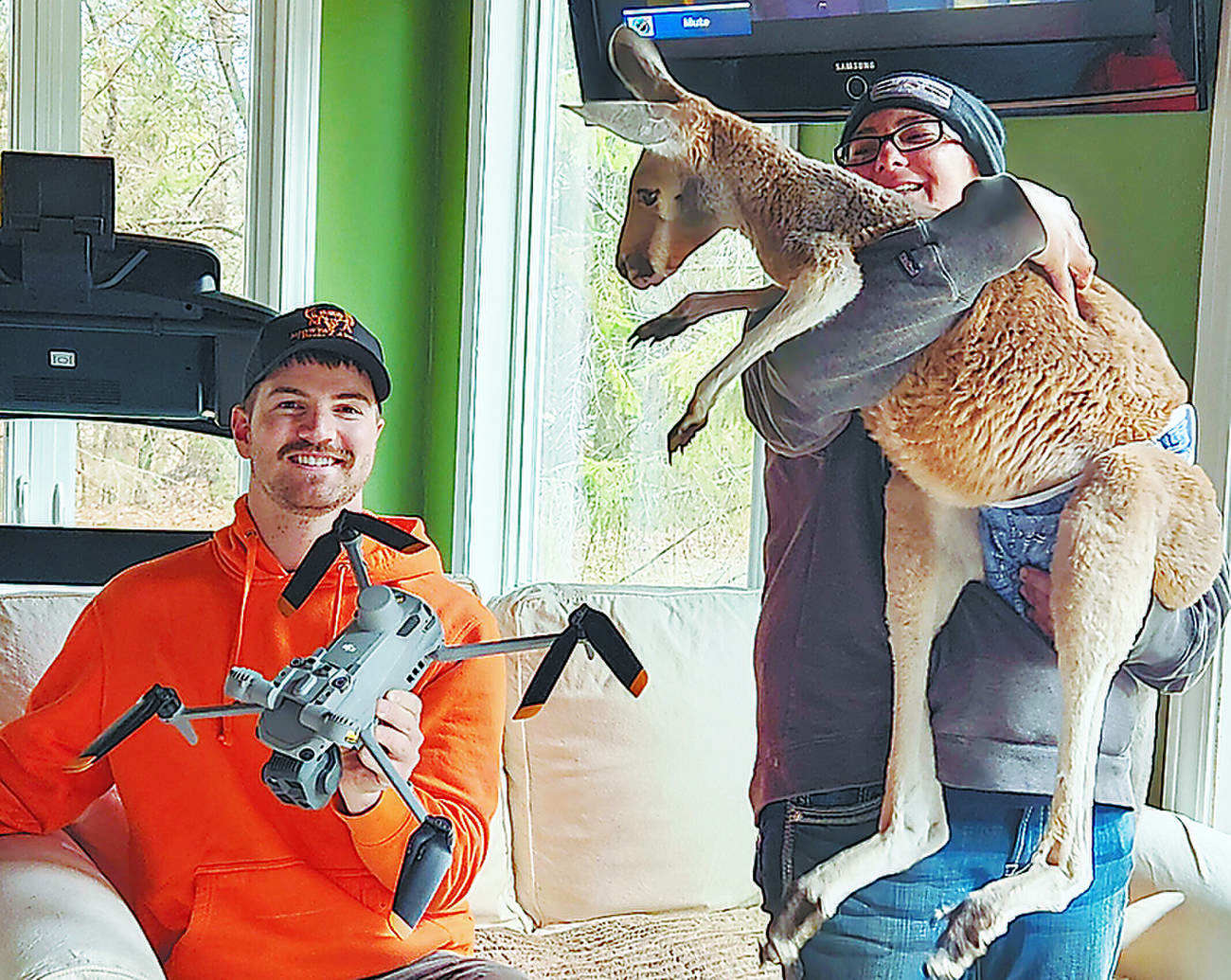 カンガルーがフェンスをよじのぼり、動物園から逃走