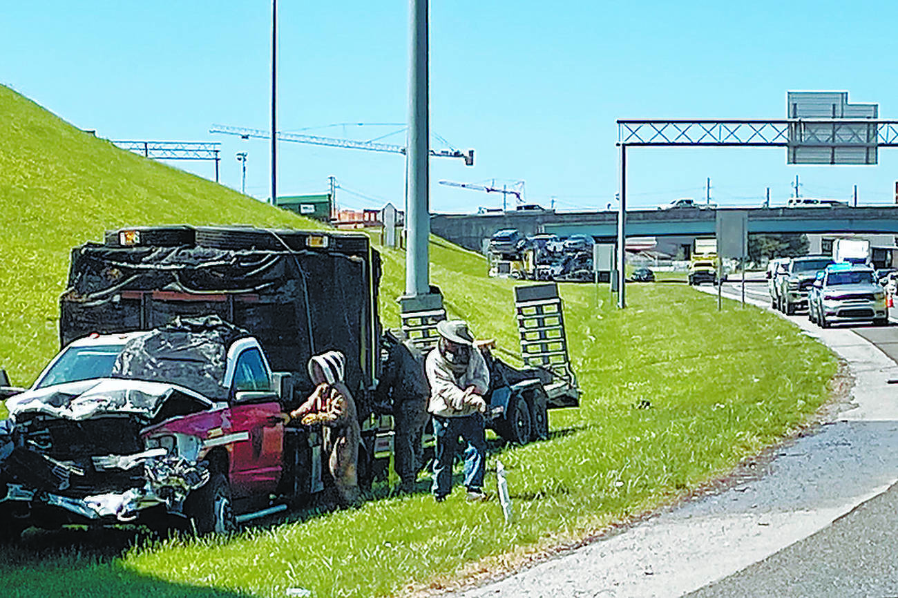 Bee swarm makes bumper-to-buzzer traffic