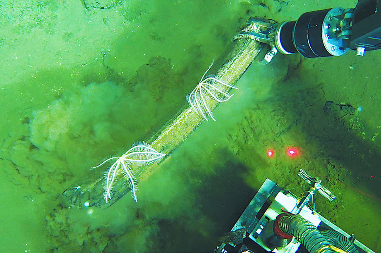 仏教界の宝物が127年ぶりにインドへ返還される | 朝日ウイークリー