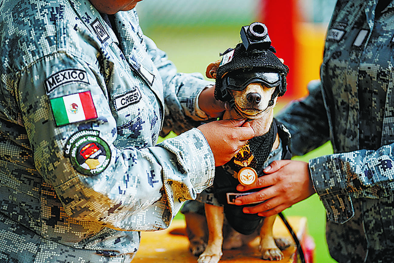 Mexico debuts tiny Chihuahua guard recruit