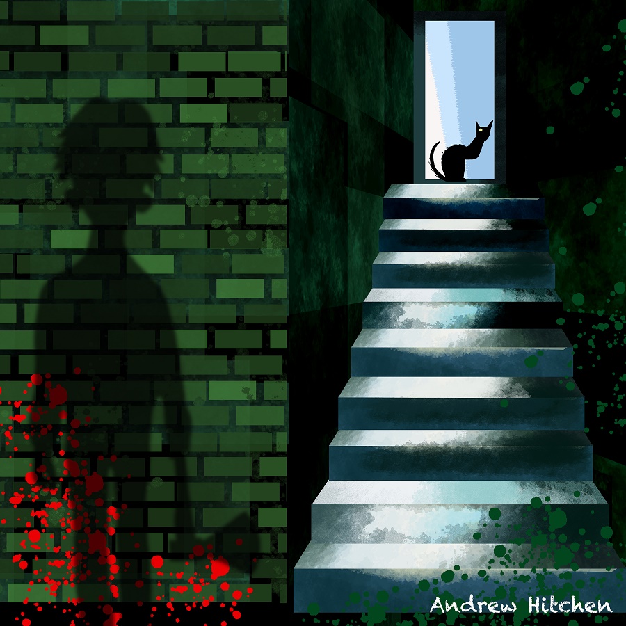【ARS10+】　Goi/WS02-T13SP　もしもの物語 黒猫 Amazon.co.jp: ヴァイス Goi/WS02-T13 もしもの物語 黒猫 (TD