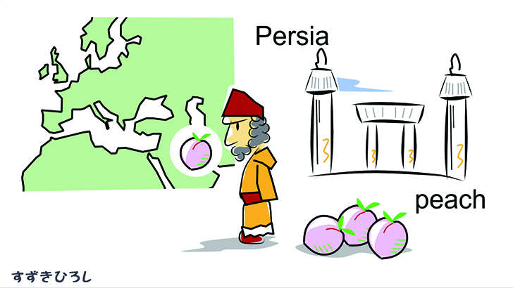 【ヘレニズム文明(Hellenism)】 朝日ウイークリーデジタル(Asahi Weekly DIGITAL)日本語解説付きで読めて聴ける英字新聞