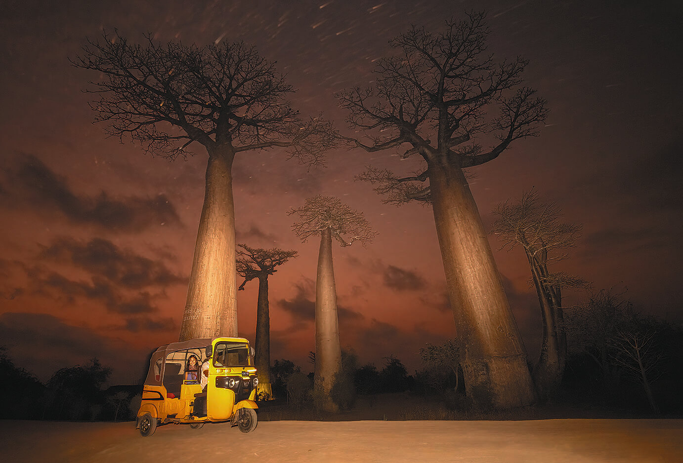 アイアイを探しにマダガスカルへ 朝日ウイークリーデジタル(Asahi Weekly DIGITAL)日本語解説付きで読めて聴ける英字新聞